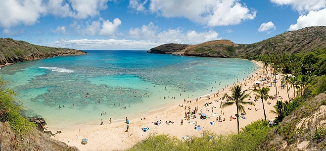Burro Esplendor regular ▷ Las 11 mejores playas paradisíacas de Hawaii | Ranking (2023)